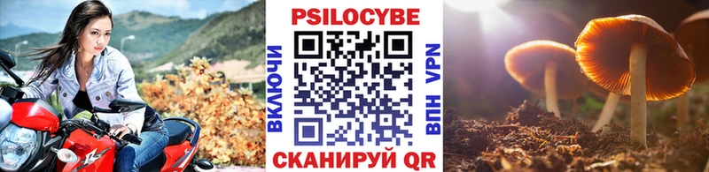 Галлюциногенные грибы Psilocybine cubensis купить наркотик Котово